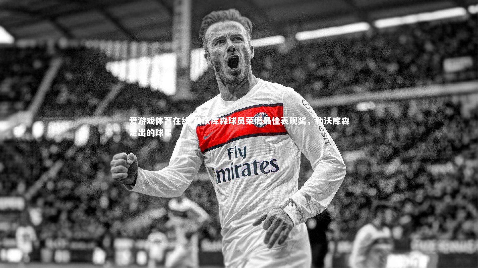 勒沃库森球员荣膺最佳表现奖,勒沃库森走出的球星